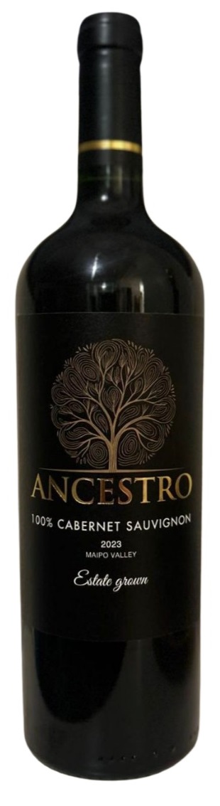 Ancestro Cabernet Sauvignon bottle with black and gold label